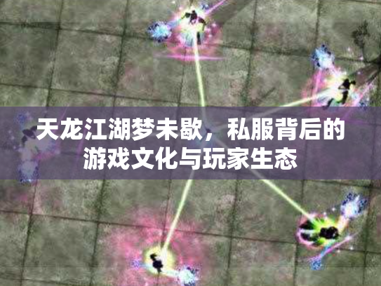 天龙江湖梦未歇，私服背后的游戏文化与玩家生态