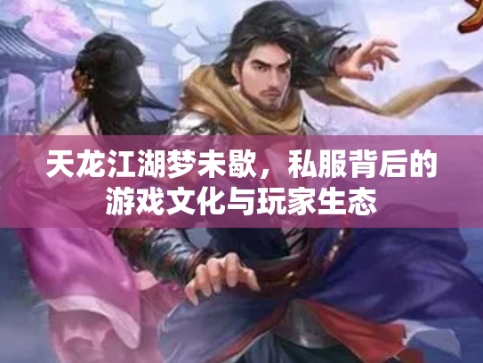 天龙江湖梦未歇，私服背后的游戏文化与玩家生态