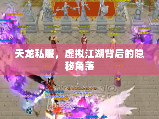 天龙私服，虚拟江湖背后的隐秘角落
