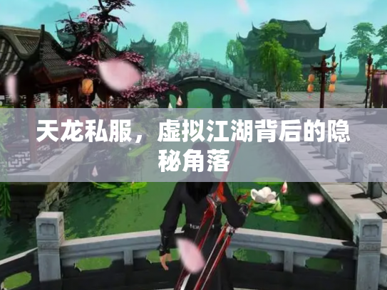 天龙私服，虚拟江湖背后的隐秘角落