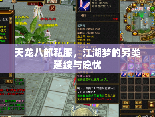 天龙八部私服，江湖梦的另类延续与隐忧