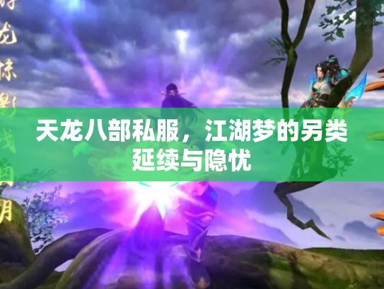 天龙八部私服，江湖梦的另类延续与隐忧