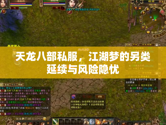 天龙八部私服，江湖梦的另类延续与风险隐忧