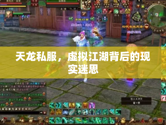 天龙私服，虚拟江湖背后的现实迷思