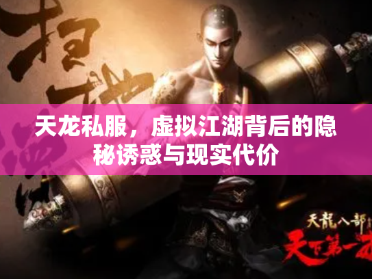 天龙私服，虚拟江湖背后的隐秘诱惑与现实代价
