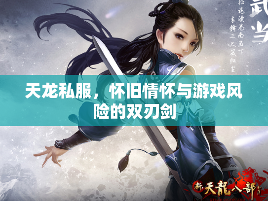 天龙私服，怀旧情怀与游戏风险的双刃剑