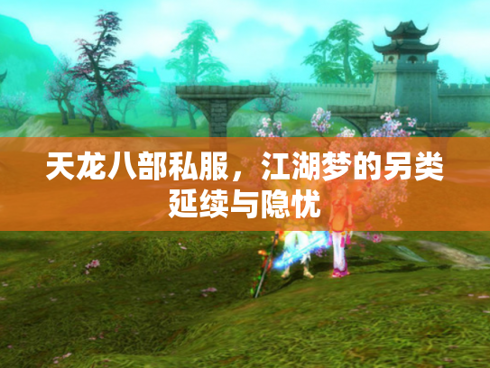 天龙八部私服，江湖梦的另类延续与隐忧
