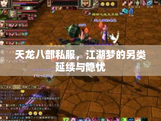 天龙八部私服，江湖梦的另类延续与隐忧
