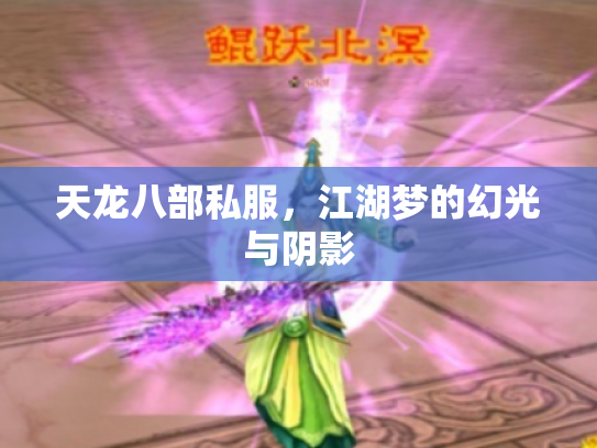 天龙八部私服，江湖梦的幻光与阴影