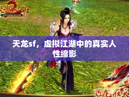 天龙sf，虚拟江湖中的真实人性缩影