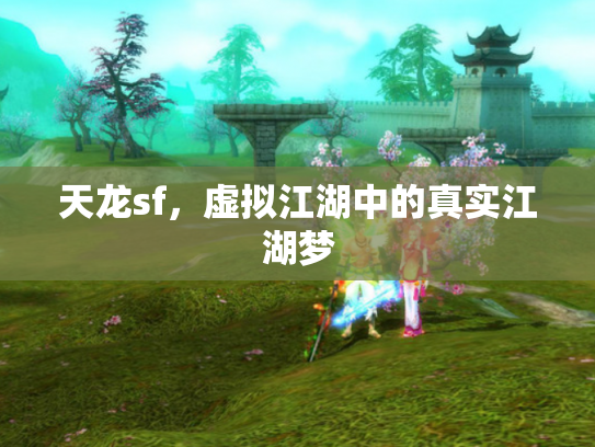 天龙sf，虚拟江湖中的真实江湖梦
