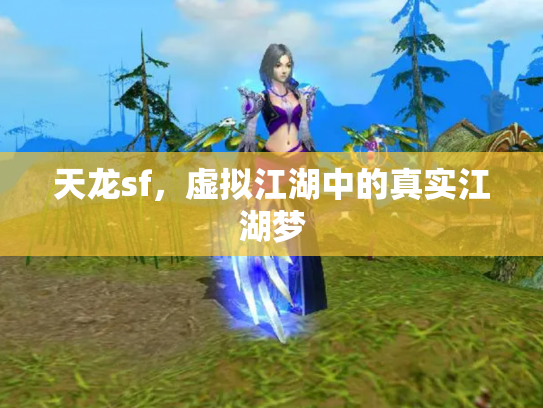 天龙sf，虚拟江湖中的真实江湖梦