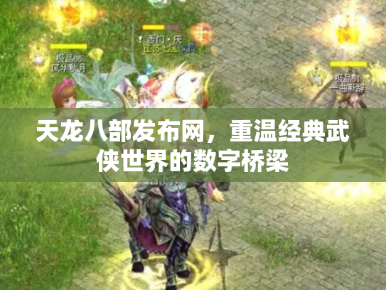 天龙八部发布网，重温经典武侠世界的数字桥梁