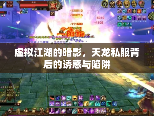 虚拟江湖的暗影，天龙私服背后的诱惑与陷阱