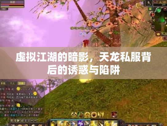 虚拟江湖的暗影，天龙私服背后的诱惑与陷阱
