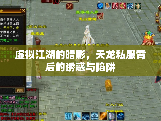 虚拟江湖的暗影，天龙私服背后的诱惑与陷阱
