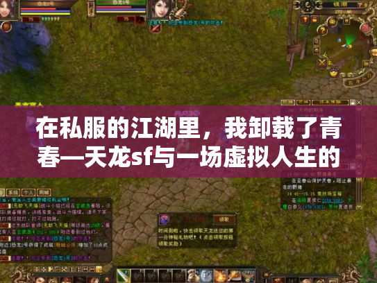 在私服的江湖里，我卸载了青春—天龙sf与一场虚拟人生的自我救赎