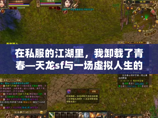 在私服的江湖里，我卸载了青春—天龙sf与一场虚拟人生的自我救赎