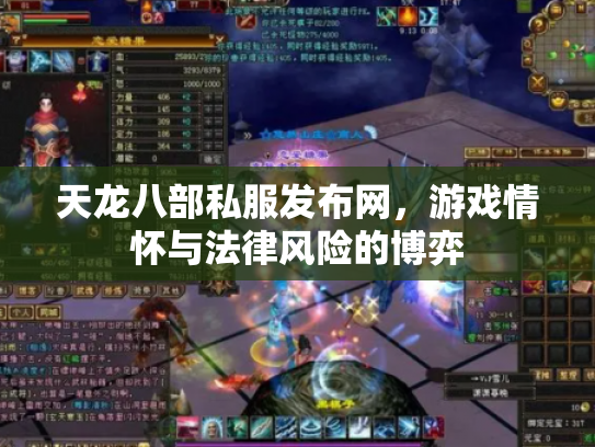 天龙八部私服发布网，游戏情怀与法律风险的博弈