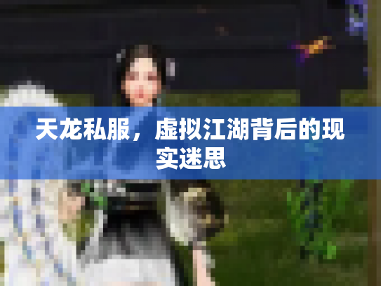 天龙私服，虚拟江湖背后的现实迷思
