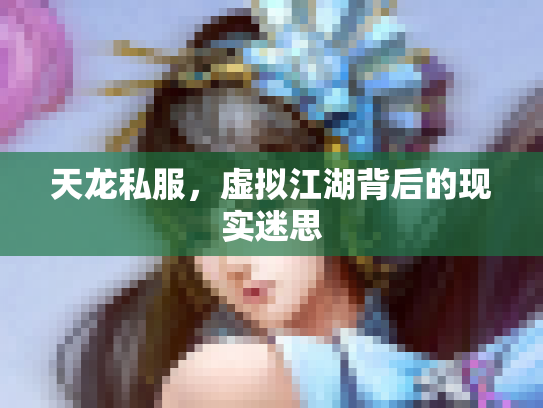 天龙私服，虚拟江湖背后的现实迷思