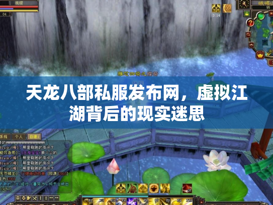 天龙八部私服发布网，虚拟江湖背后的现实迷思