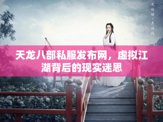 天龙八部私服发布网，虚拟江湖背后的现实迷思