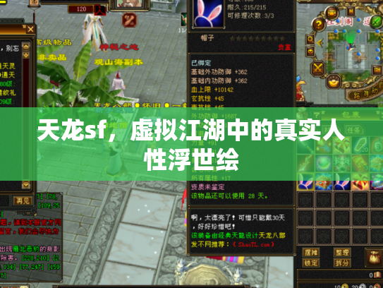 天龙sf，虚拟江湖中的真实人性浮世绘