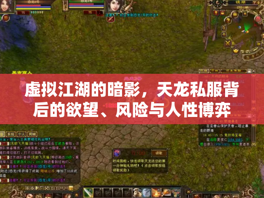 虚拟江湖的暗影，天龙私服背后的欲望、风险与人性博弈