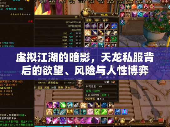 虚拟江湖的暗影，天龙私服背后的欲望、风险与人性博弈