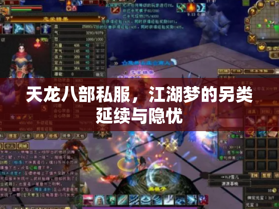 天龙八部私服，江湖梦的另类延续与隐忧