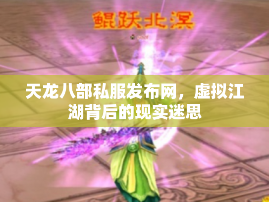 天龙八部私服发布网，虚拟江湖背后的现实迷思