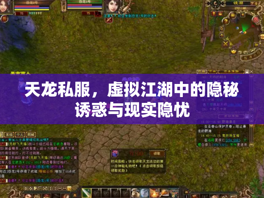天龙私服，虚拟江湖中的隐秘诱惑与现实隐忧