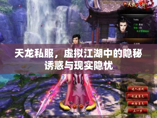 天龙私服，虚拟江湖中的隐秘诱惑与现实隐忧