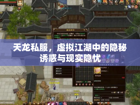 天龙私服，虚拟江湖中的隐秘诱惑与现实隐忧