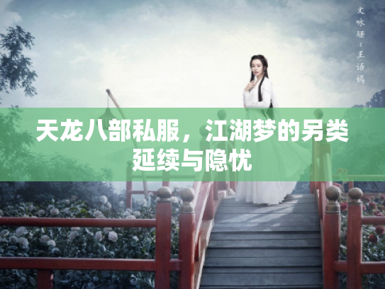 天龙八部私服，江湖梦的另类延续与隐忧