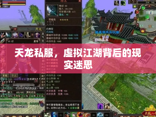 天龙私服，虚拟江湖背后的现实迷思