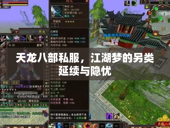 天龙八部私服，江湖梦的另类延续与隐忧