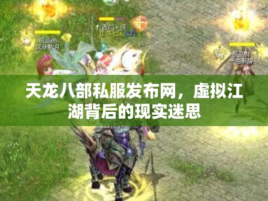天龙八部私服发布网，虚拟江湖背后的现实迷思