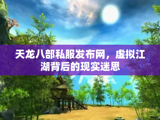 天龙八部私服发布网，虚拟江湖背后的现实迷思