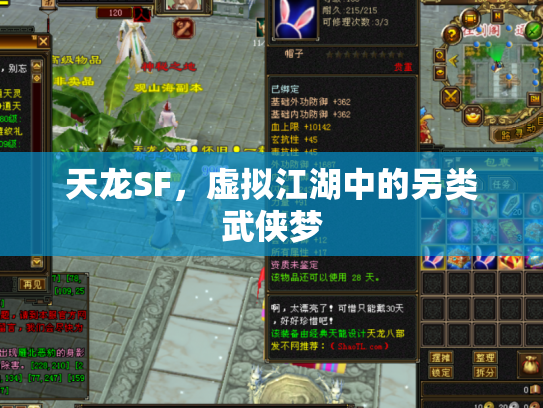 天龙SF，虚拟江湖中的另类武侠梦