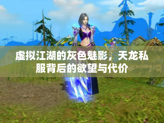 虚拟江湖的灰色魅影，天龙私服背后的欲望与代价