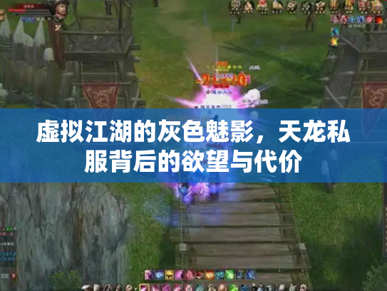 虚拟江湖的灰色魅影，天龙私服背后的欲望与代价