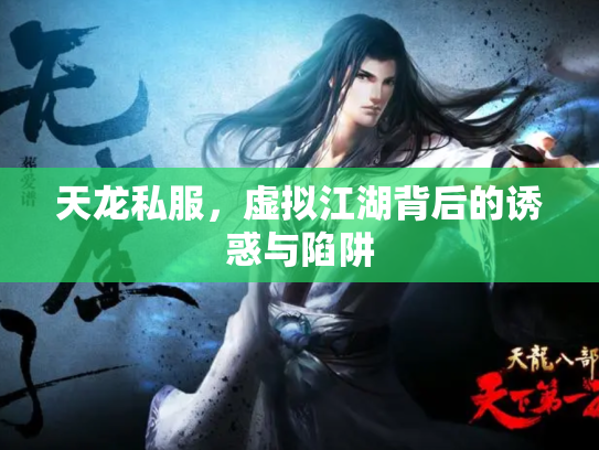 天龙私服，虚拟江湖背后的诱惑与陷阱
