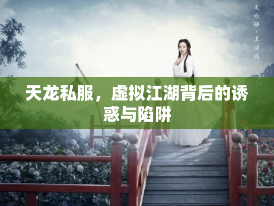 天龙私服，虚拟江湖背后的诱惑与陷阱