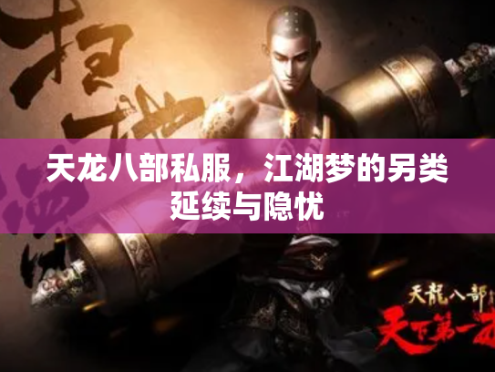 天龙八部私服，江湖梦的另类延续与隐忧