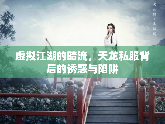 虚拟江湖的暗流，天龙私服背后的诱惑与陷阱