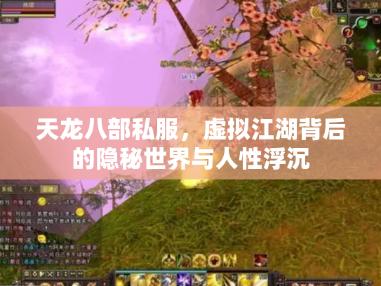 天龙八部私服，虚拟江湖背后的隐秘世界与人性浮沉