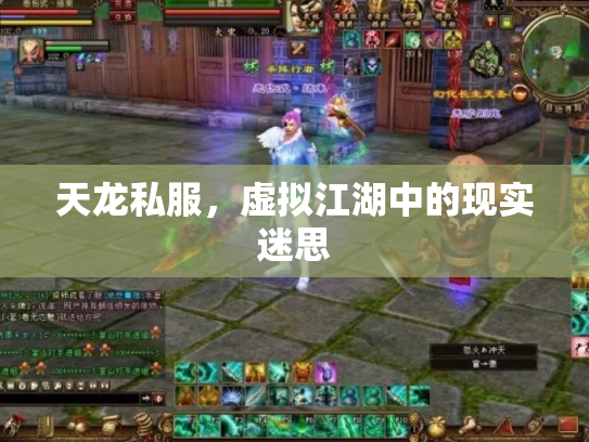 天龙私服，虚拟江湖中的现实迷思