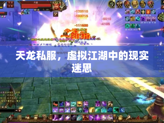 天龙私服，虚拟江湖中的现实迷思